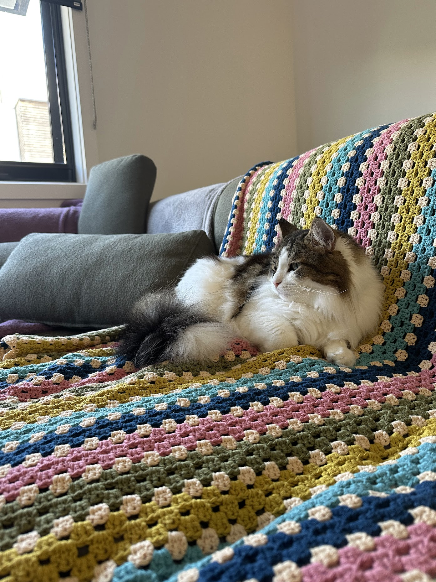 Crochet throw blanket